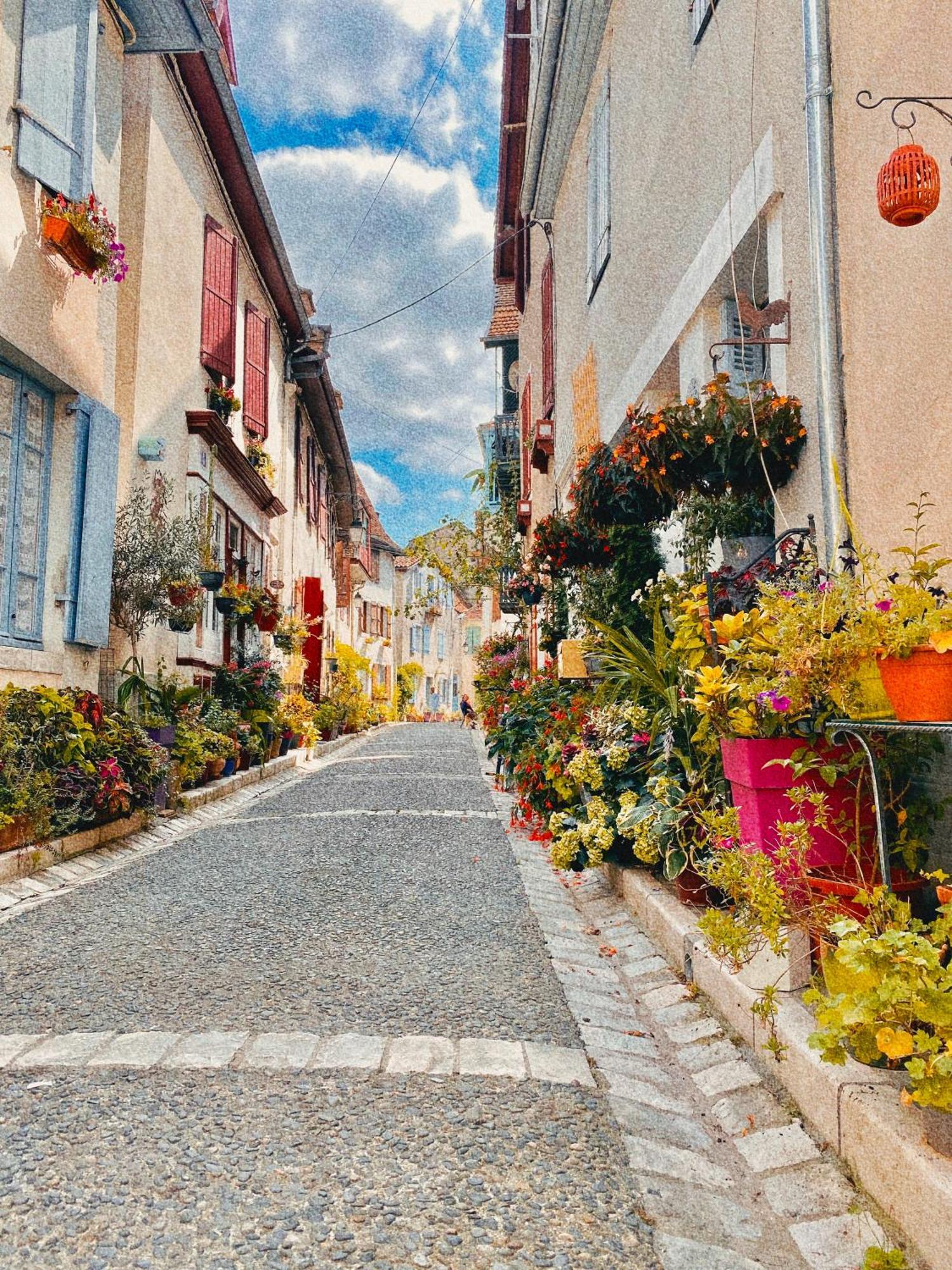 Agreable Petit Gite Avec Piscine Et Jardinet Salies-de-Béarn Exterior foto